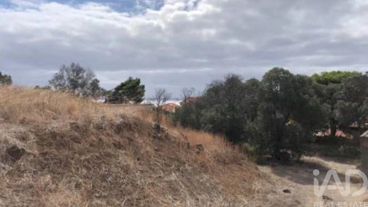 Prédio para Venda em Porto Santo Foto 9