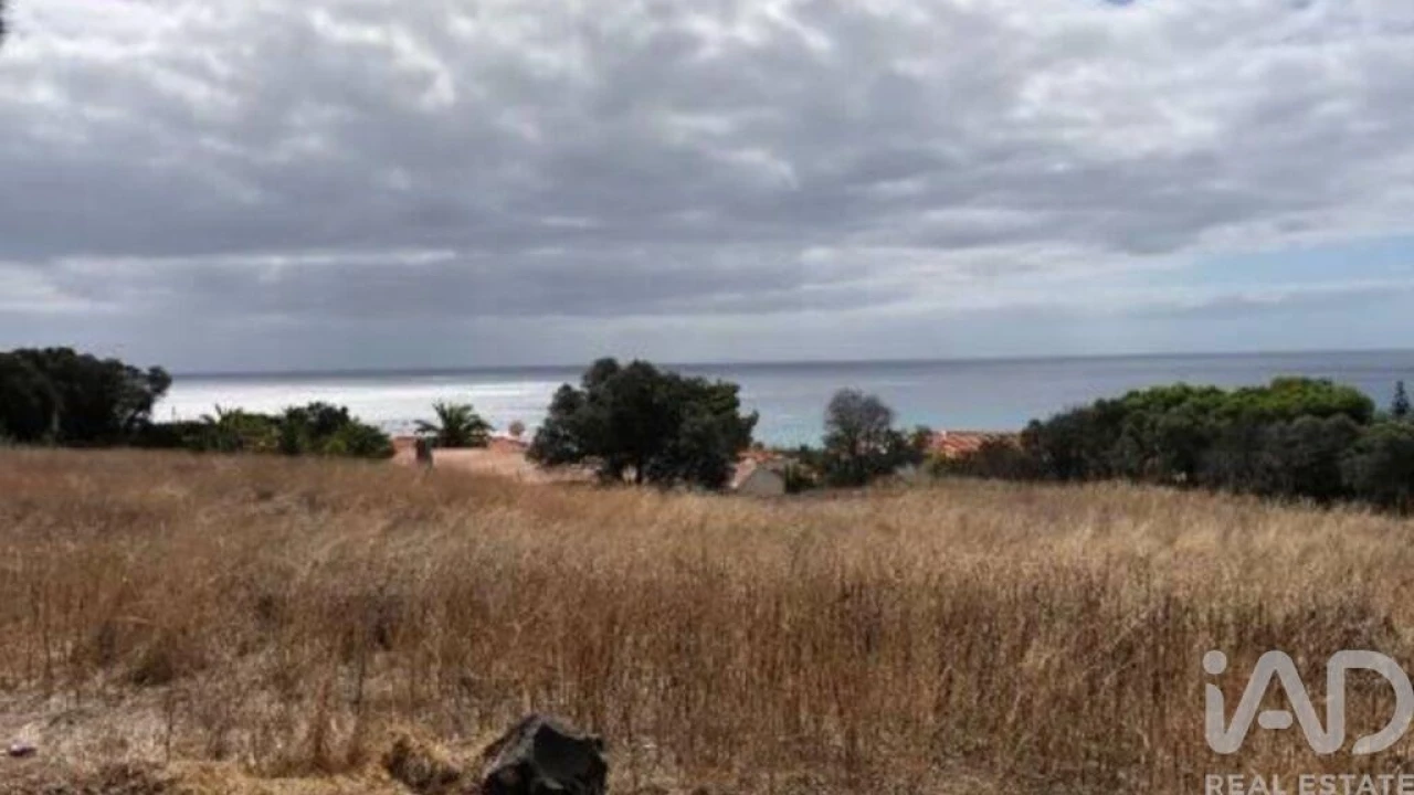 Prédio para Venda em Porto Santo Foto 2
