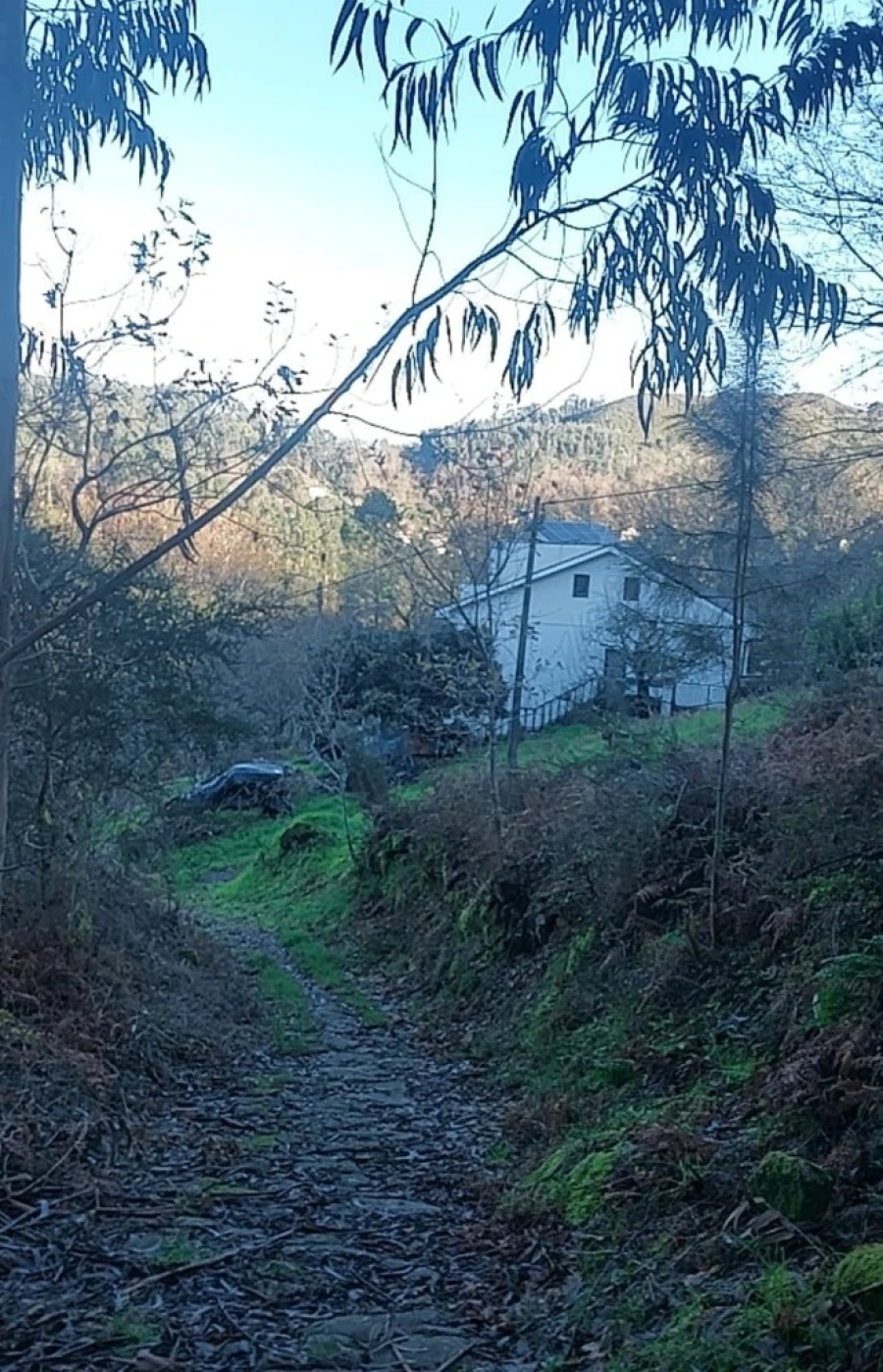 Terreno para Venda em Caldelas, Sequeiros e Paranhos Foto 2