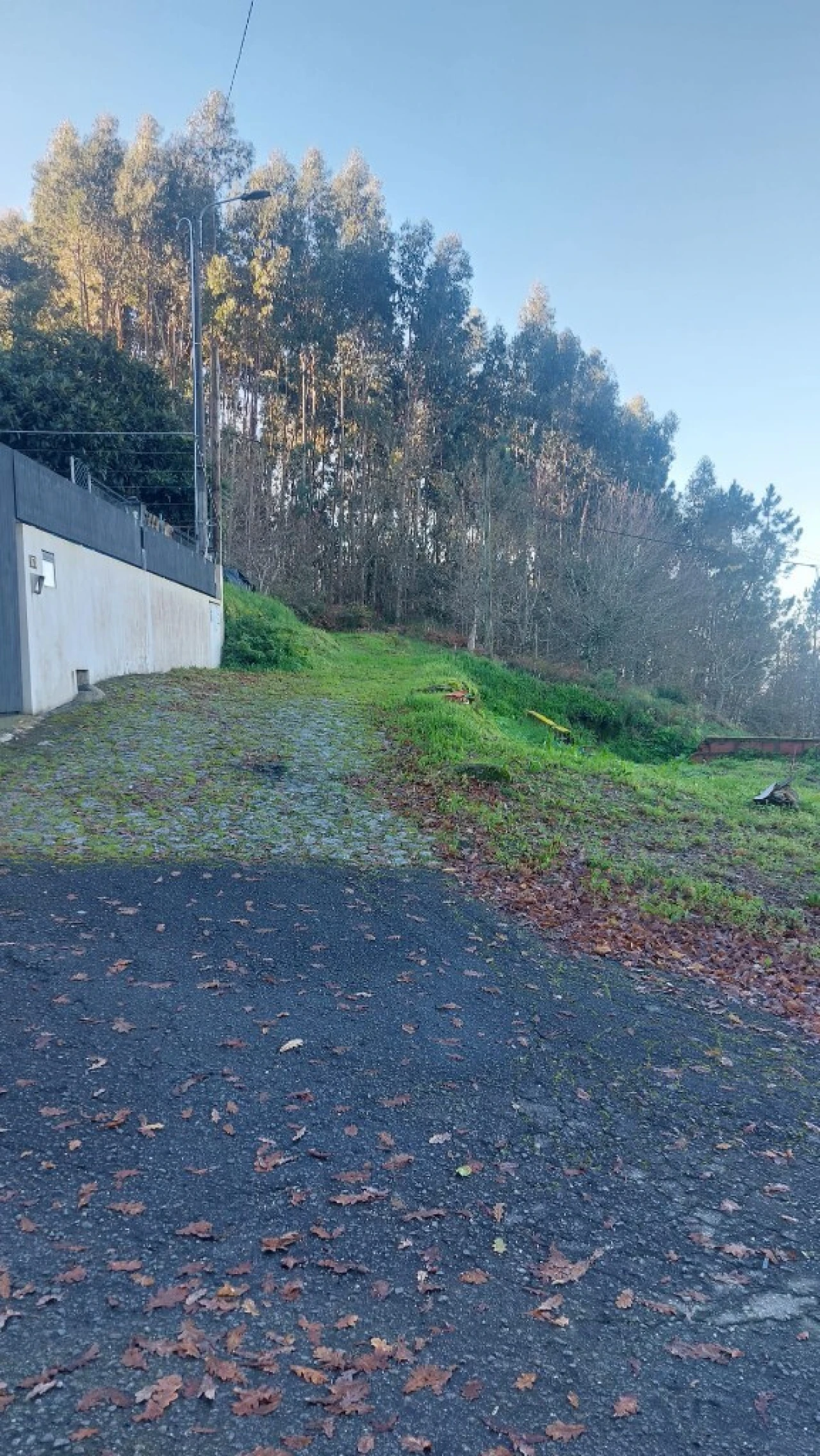 Terreno para Venda em Caldelas, Sequeiros e Paranhos Foto 4