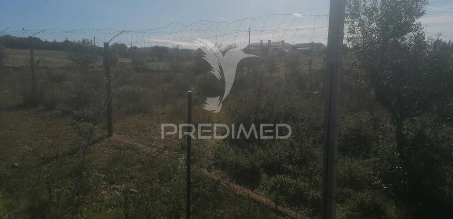 Terreno para Venda em Ribeira de Nisa e Carreiras Foto 3