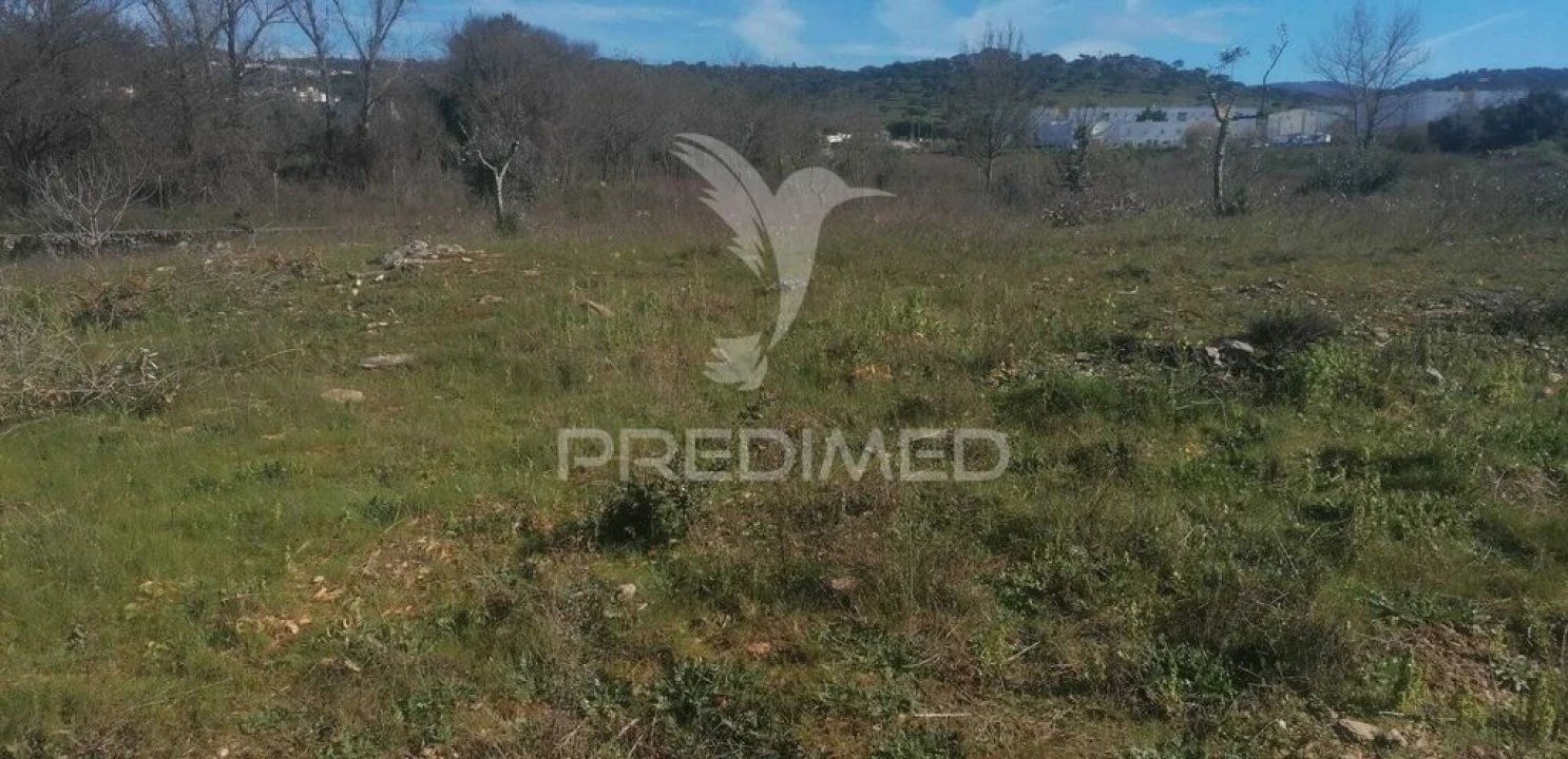 Terreno para Venda em Ribeira de Nisa e Carreiras Foto 1