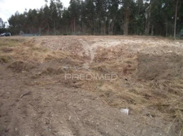 Terreno para Venda em Beduído e Veiros