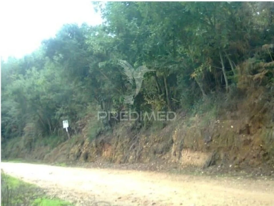 Terreno para Venda em Águeda e Borralha Foto 1