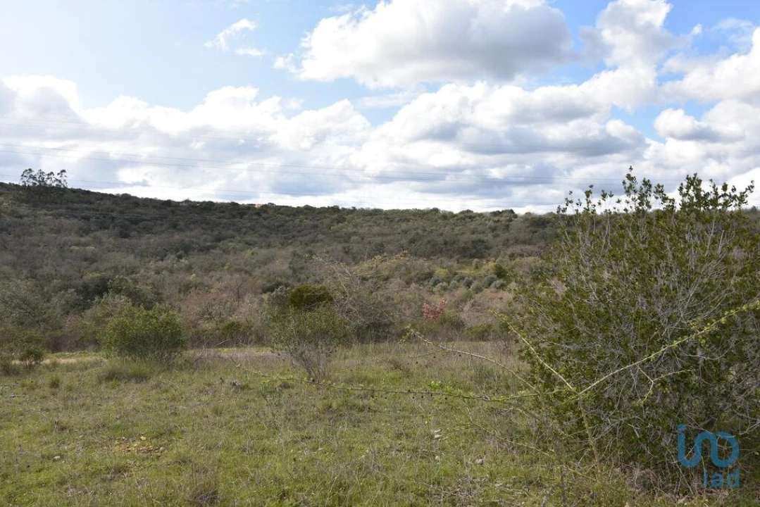 Terreno para Venda em Chãos Foto 12