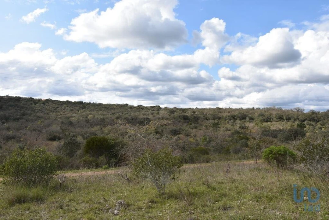 Terreno para Venda em Chãos Foto 10