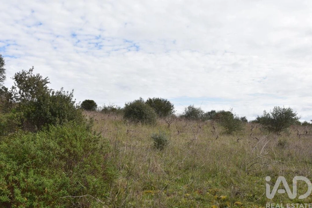 Terreno para Venda em Chãos Foto 29