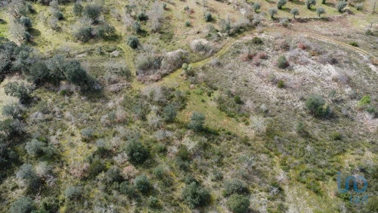 Terreno para Venda em Chãos Foto 3