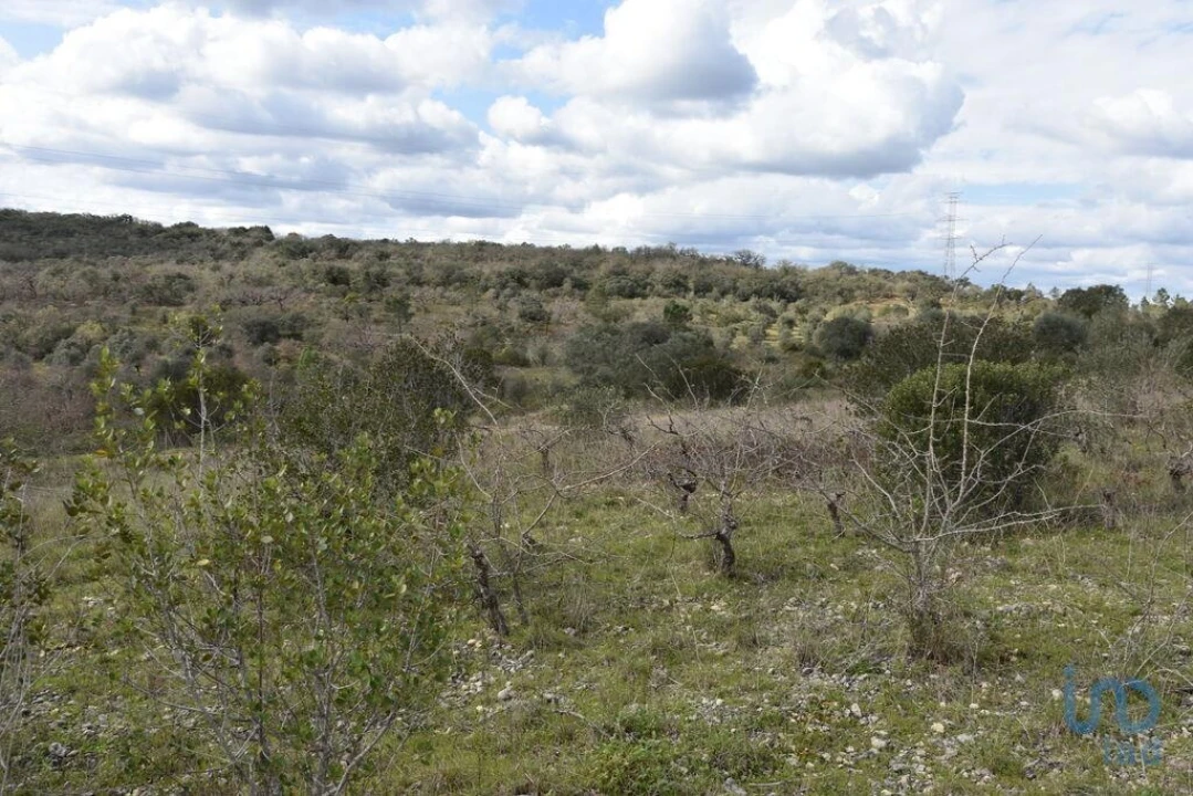 Terreno para Venda em Chãos Foto 13