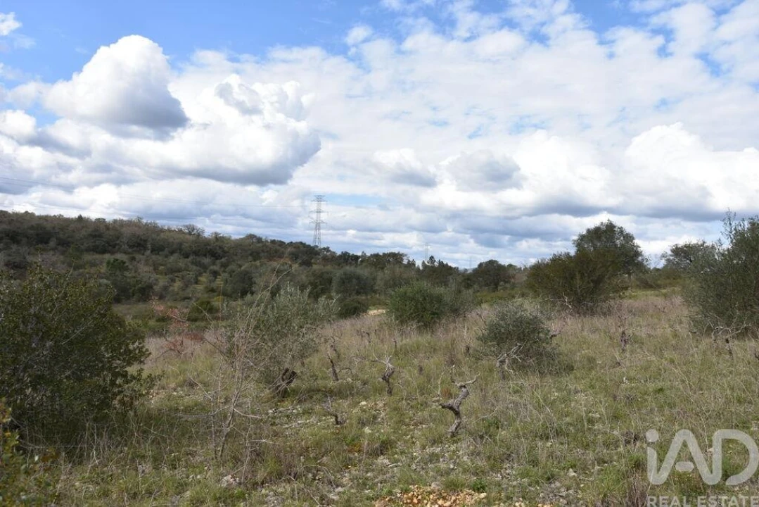 Terreno para Venda em Chãos Foto 17