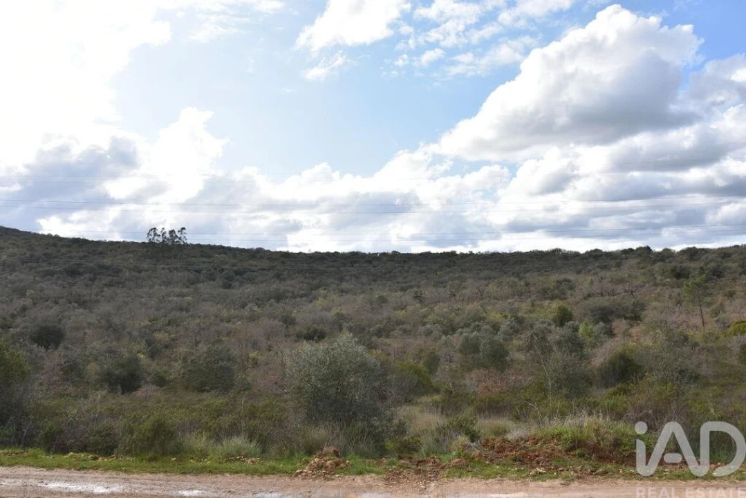 Terreno para Venda em Chãos Foto 21