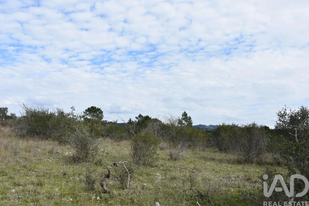 Terreno para Venda em Chãos Foto 16