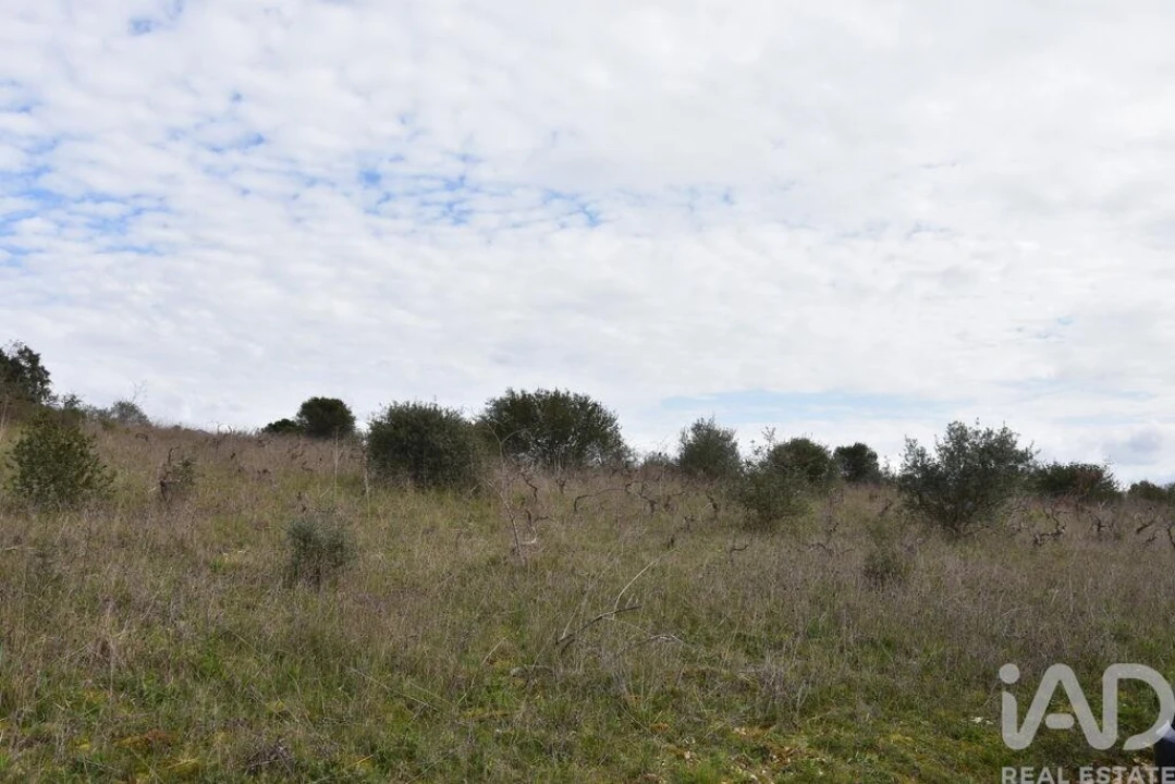 Terreno para Venda em Chãos Foto 27