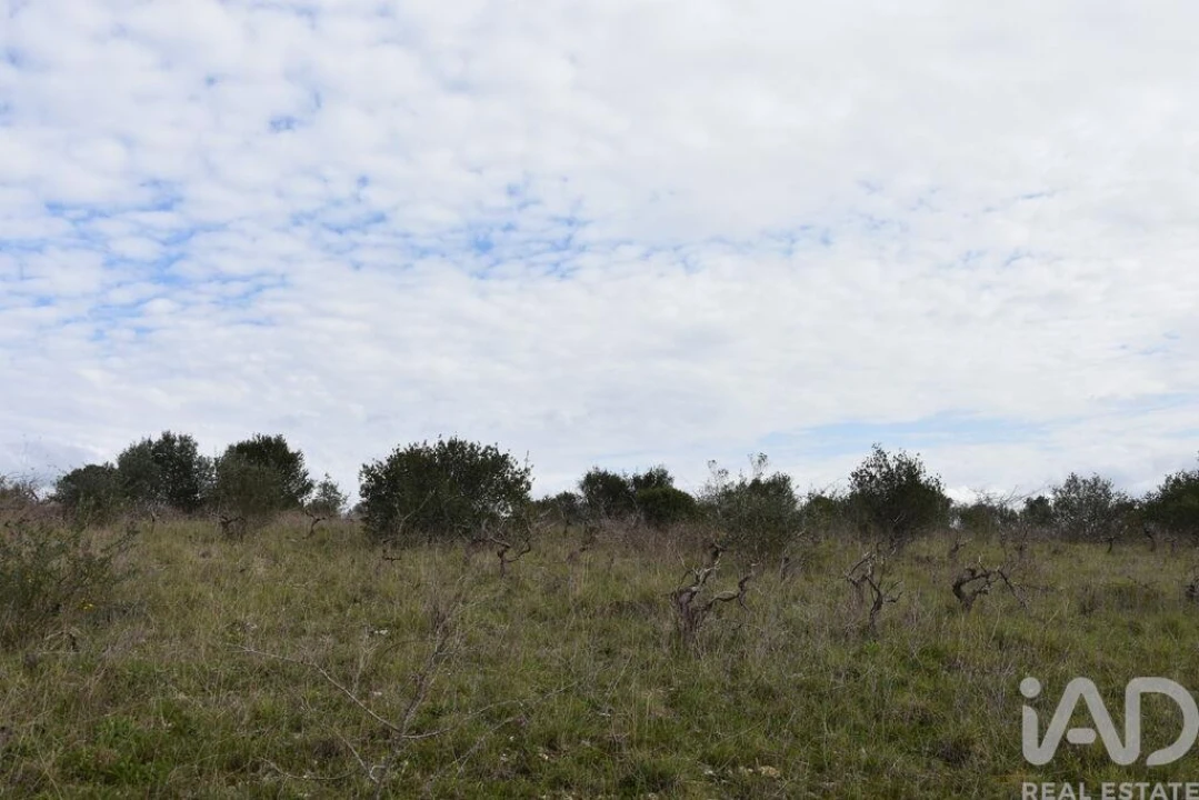 Terreno para Venda em Chãos Foto 23