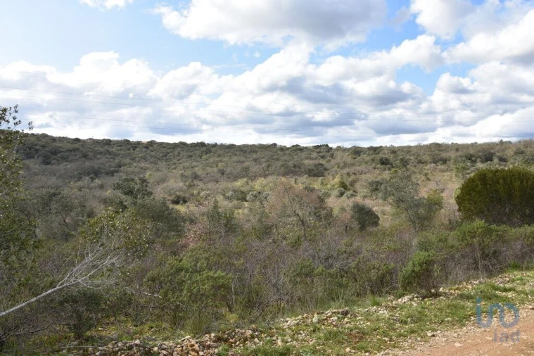 Terreno para Venda em Chãos Foto 4