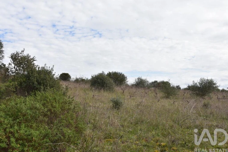 Terreno para Venda em Chãos Foto 29