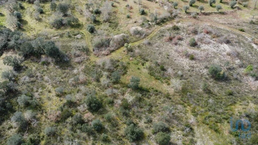 Terreno para Venda em Chãos Foto 3