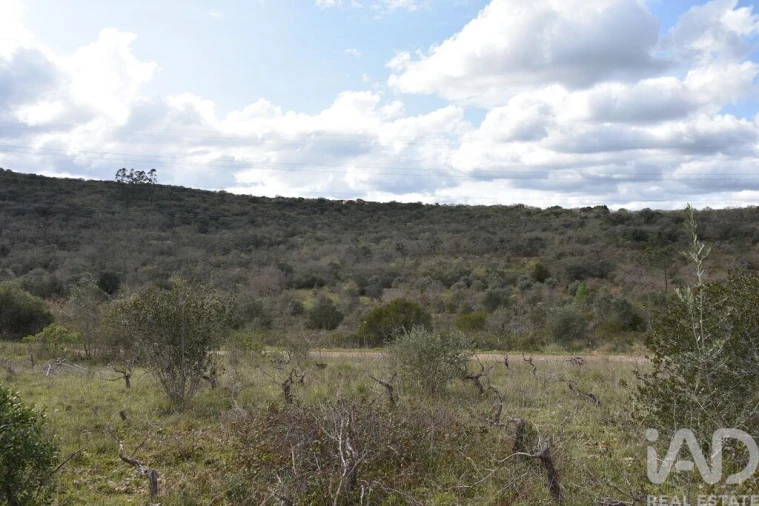 Terreno para Venda em Chãos Foto 18