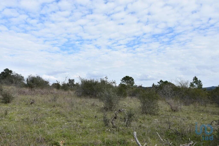 Terreno para Venda em Chãos Foto 14