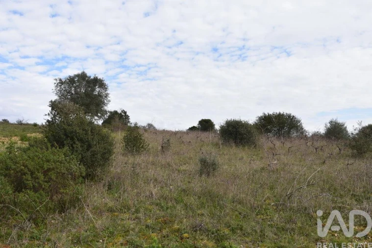 Terreno para Venda em Chãos Foto 26