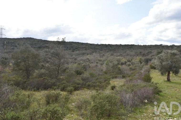 Terreno para Venda em Chãos Foto 28