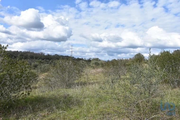 Terreno para Venda em Chãos Foto 11