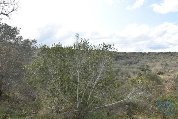 Terreno para Venda em Chãos Foto 8