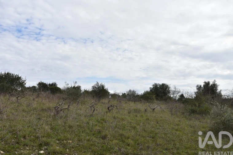 Terreno para Venda em Chãos Foto 24