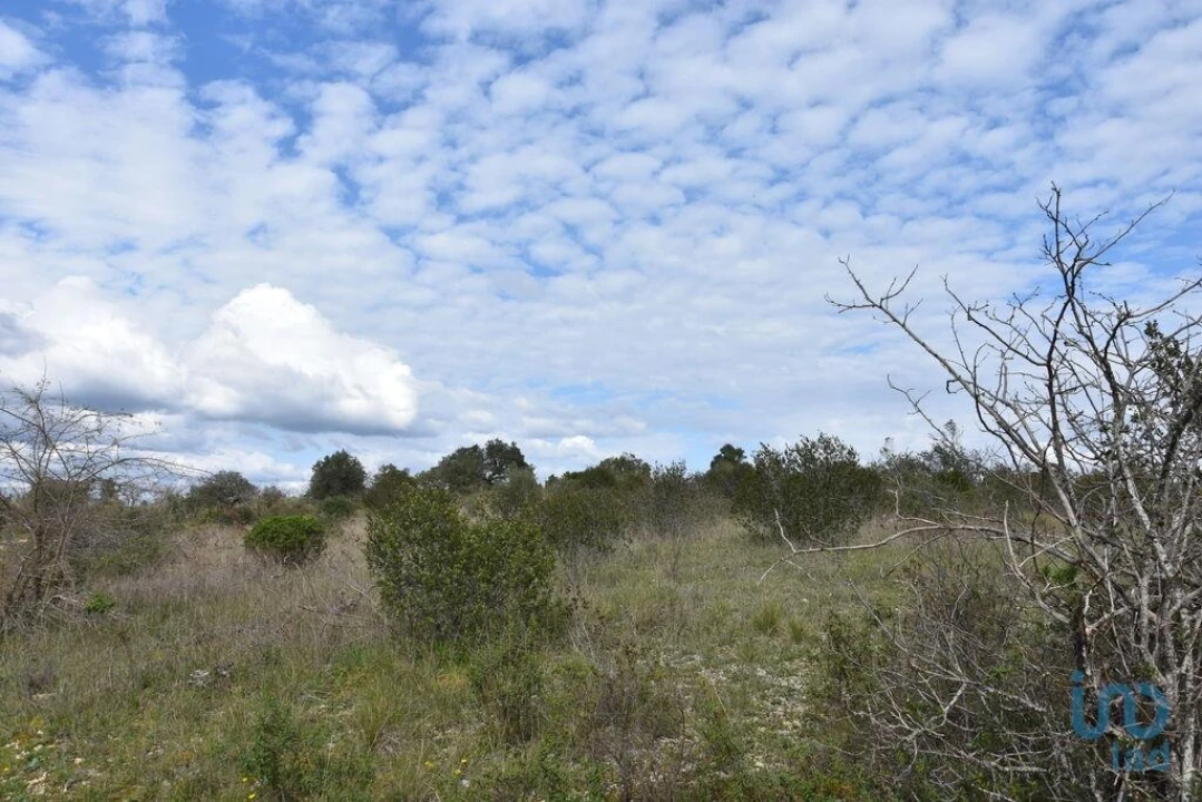 Terreno para Venda em Chãos Foto 7