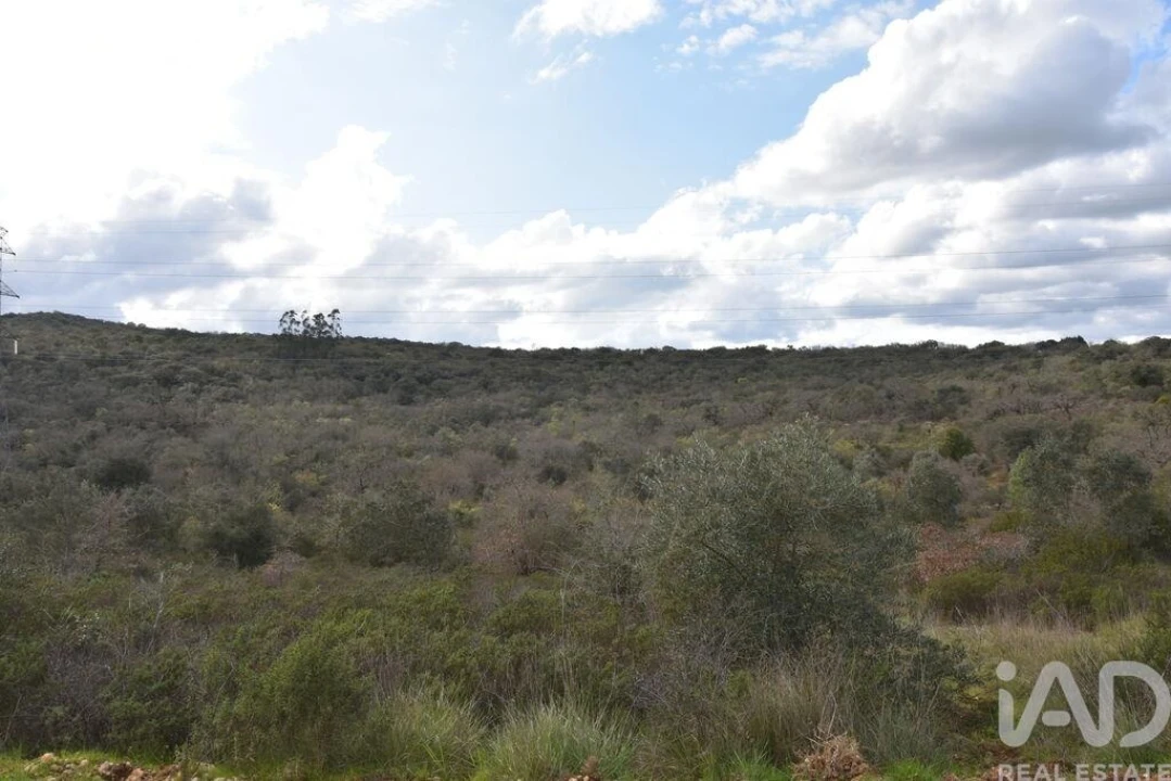 Terreno para Venda em Chãos Foto 22