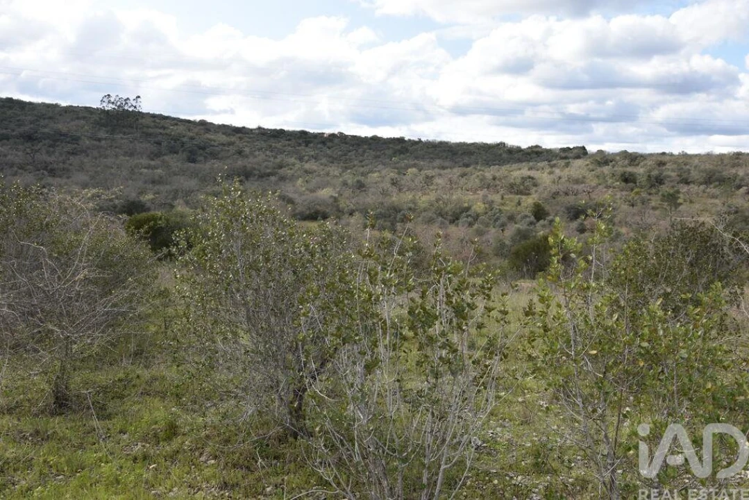 Terreno para Venda em Chãos Foto 15