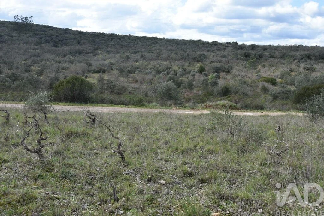 Terreno para Venda em Chãos Foto 20