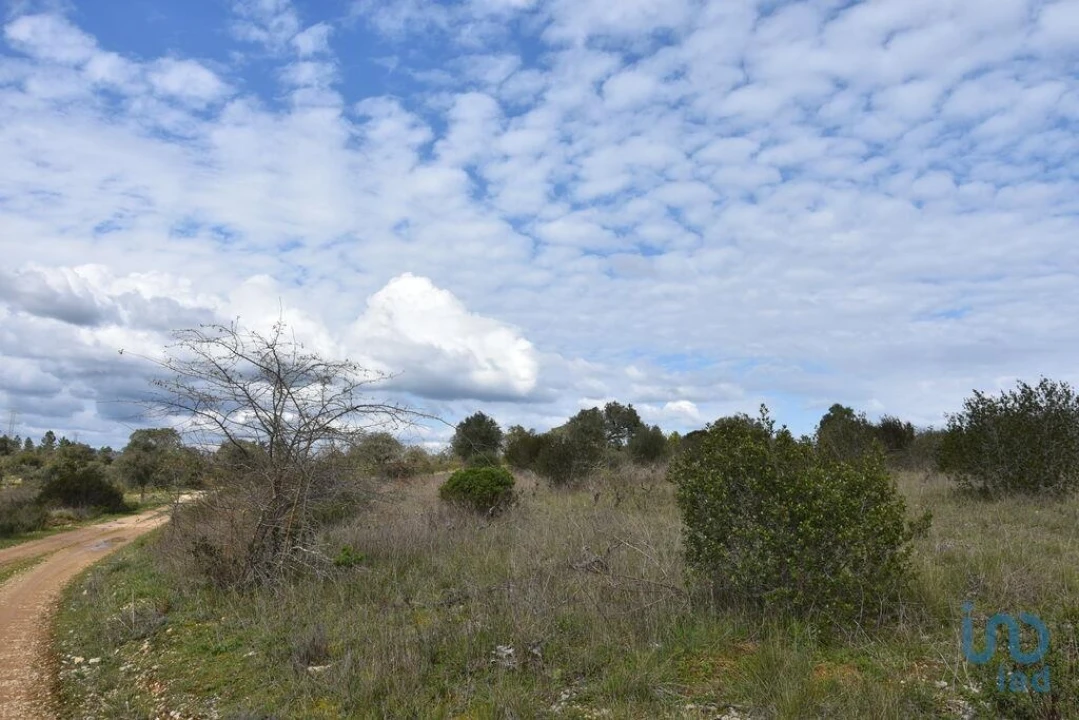 Terreno para Venda em Chãos Foto 5