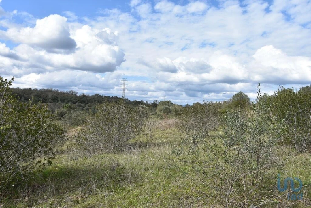 Terreno para Venda em Chãos Foto 11
