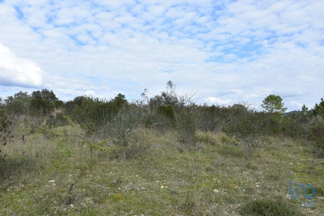Terreno para Venda em Chãos Foto 9