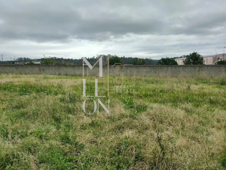 Terreno para Venda em Gião Foto 4