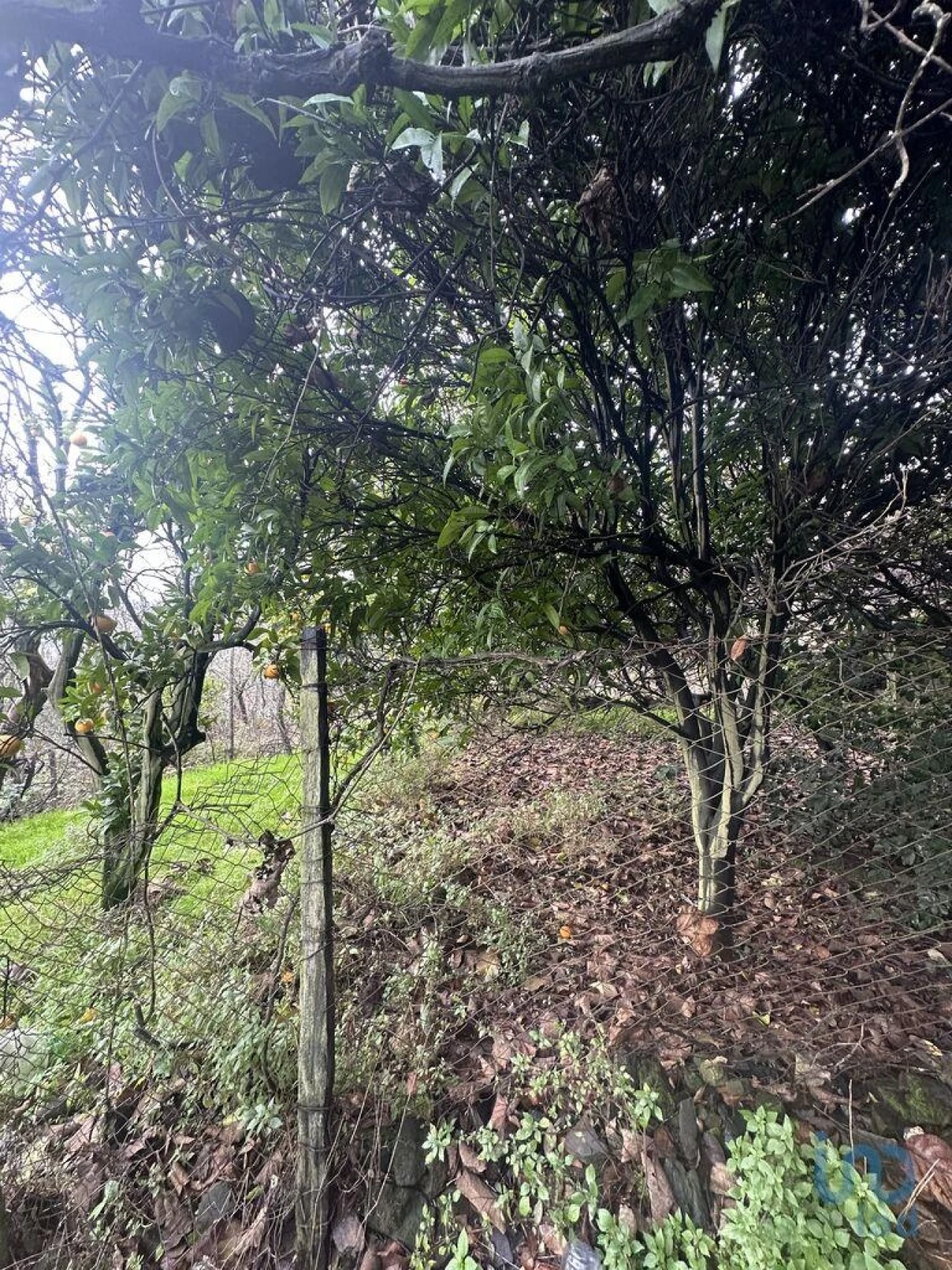 Moradia T2 para Venda em Loureiro Foto 12