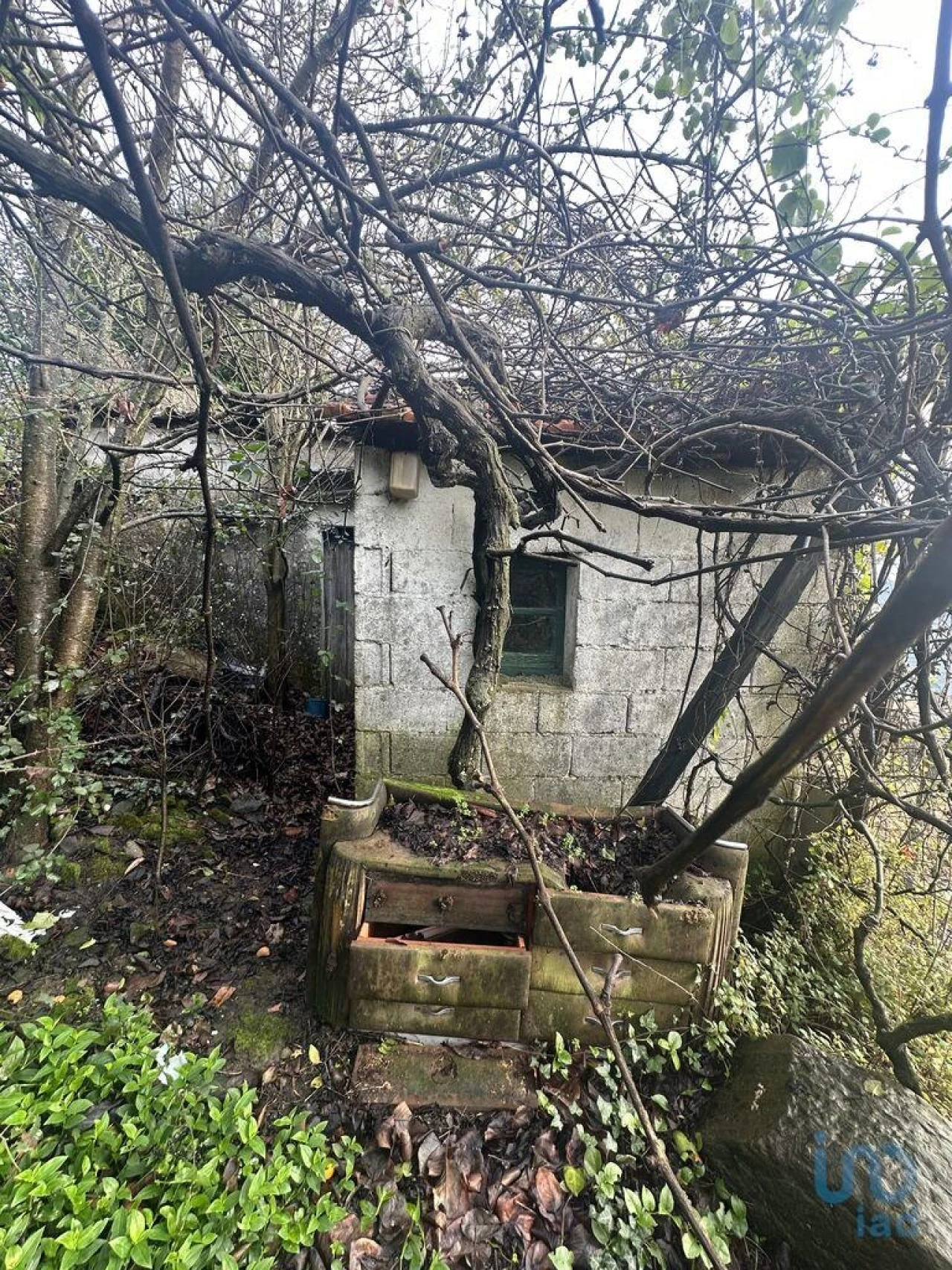 Moradia T2 para Venda em Loureiro Foto 8