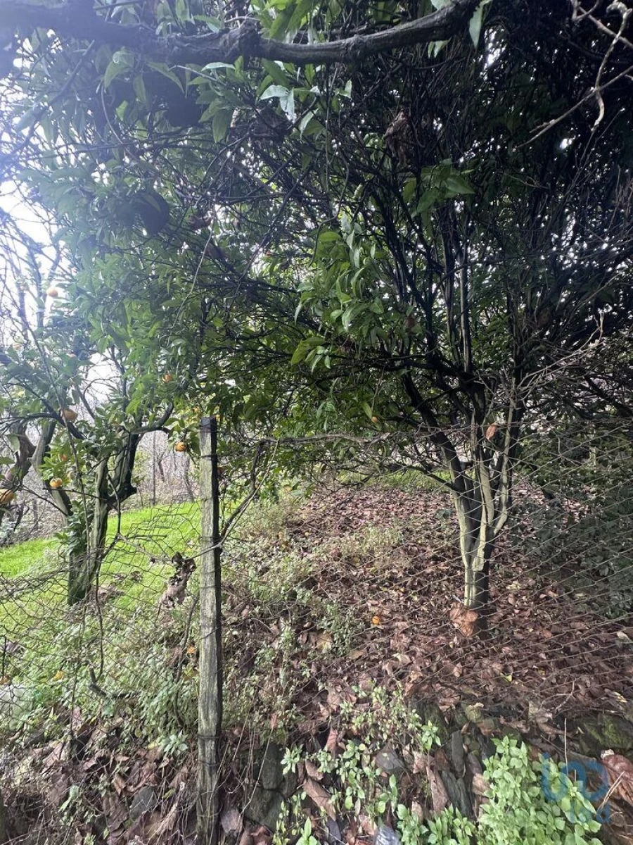 Moradia T2 para Venda em Loureiro Foto 12