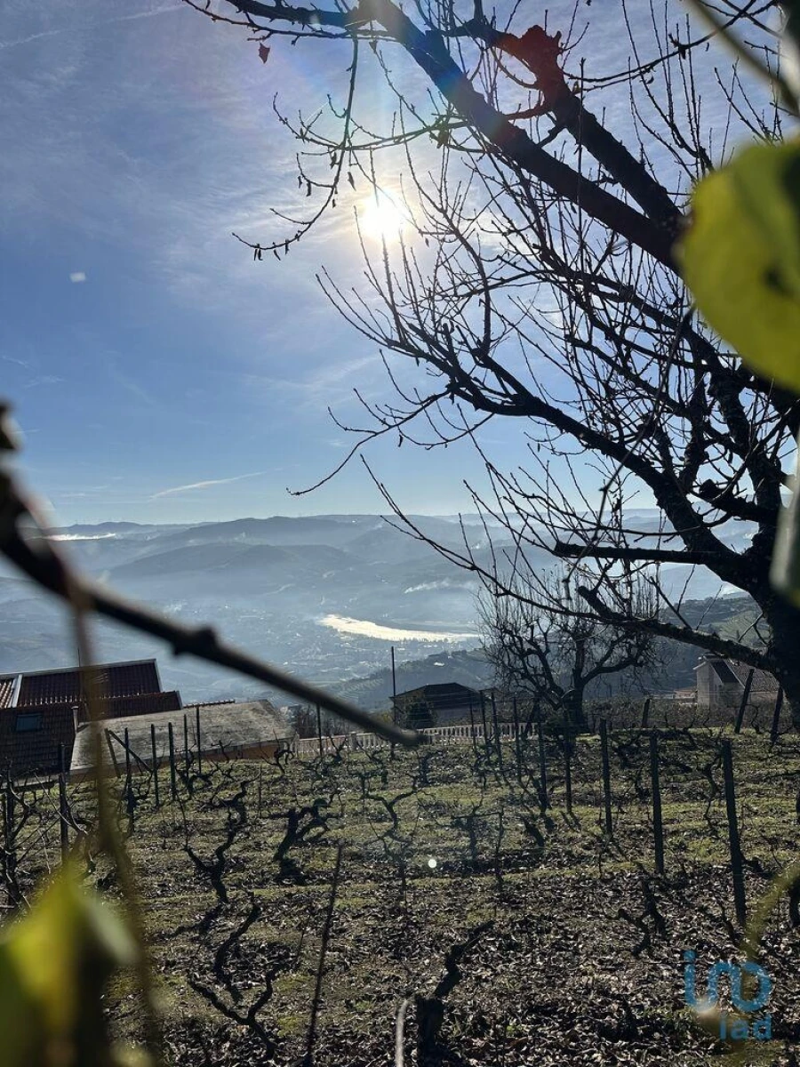 Moradia T2 para Venda em Loureiro Foto 5