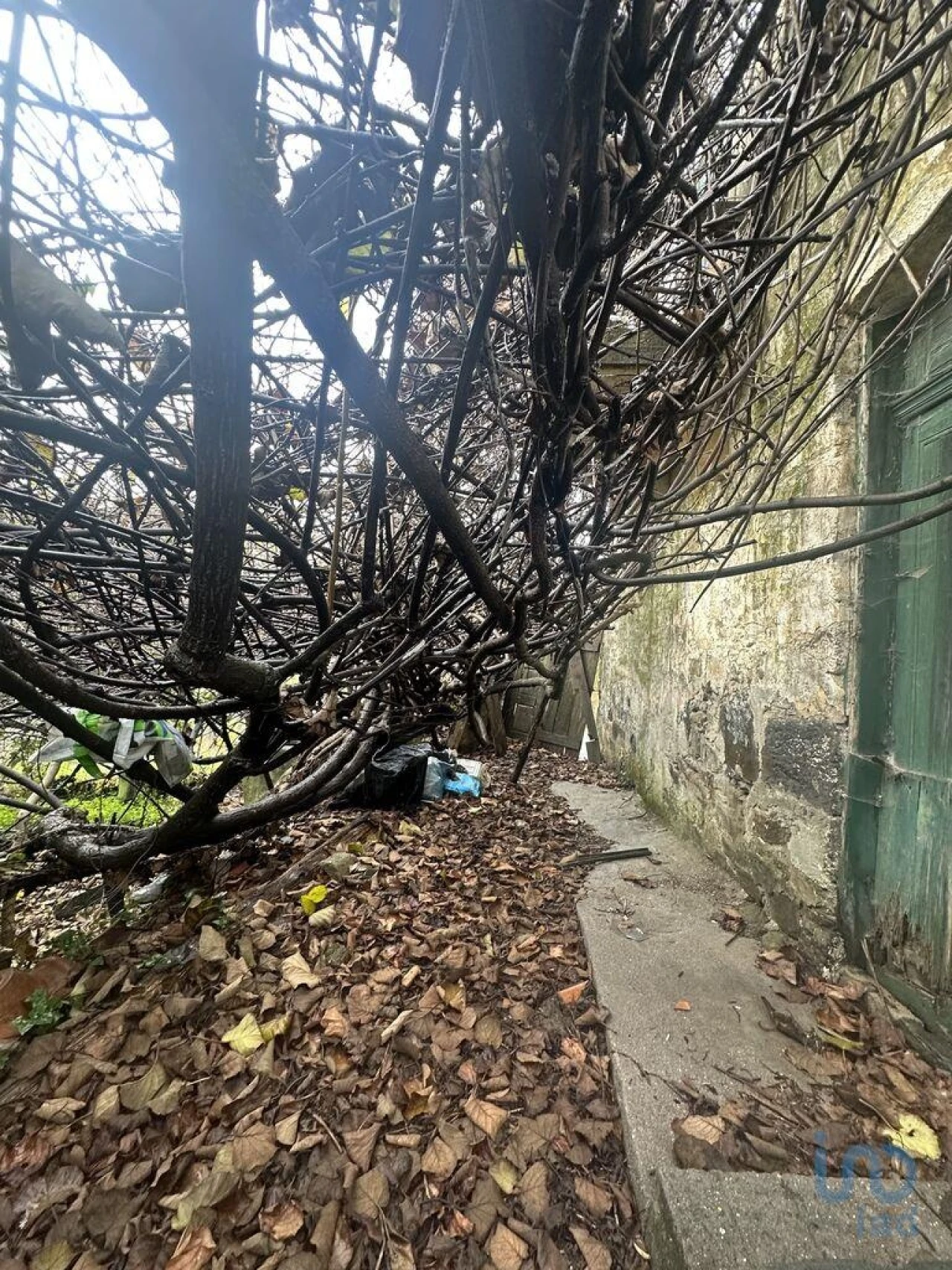 Moradia T2 para Venda em Loureiro Foto 7