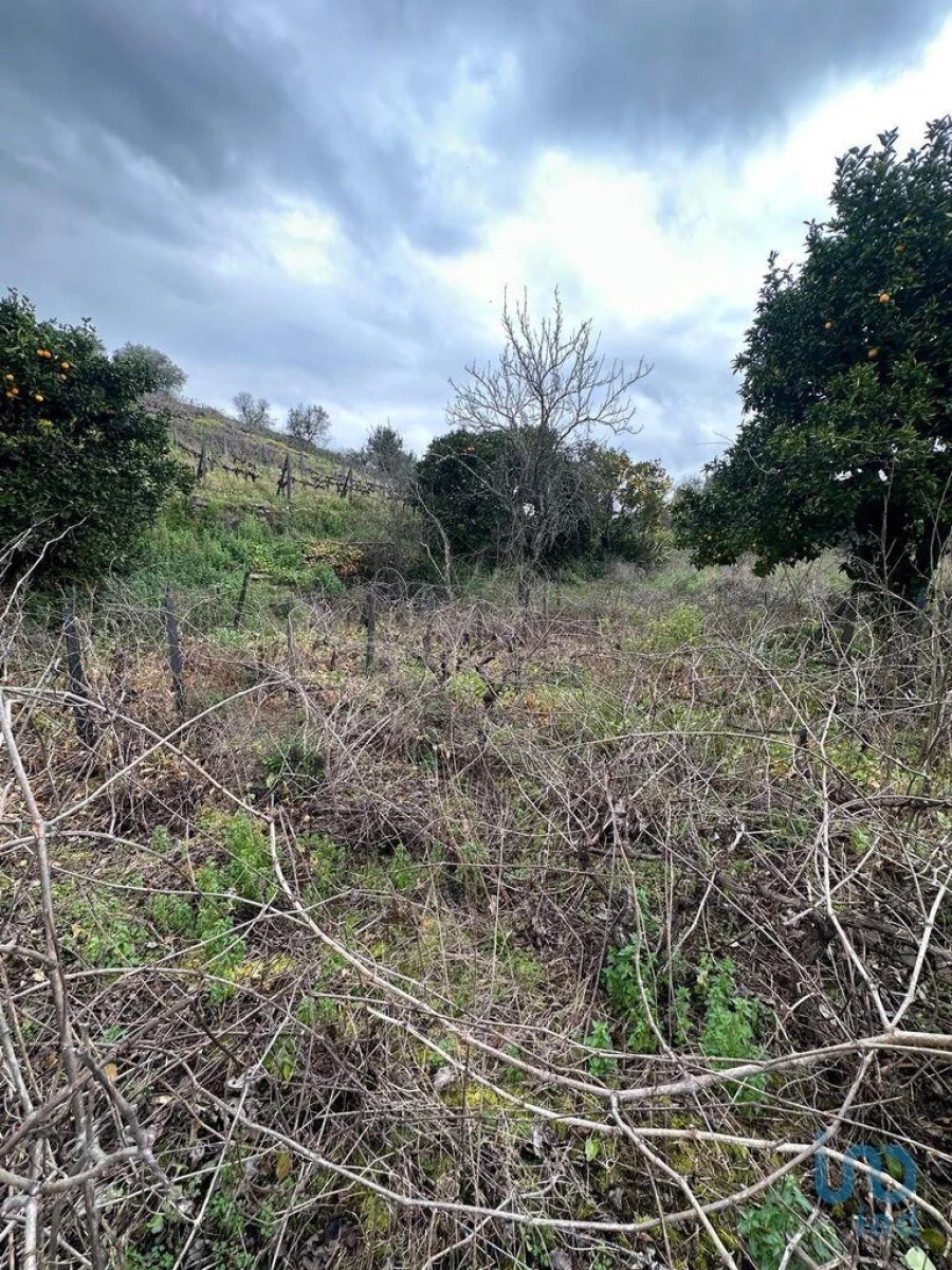 Terreno para Venda em Fontelas Foto 8