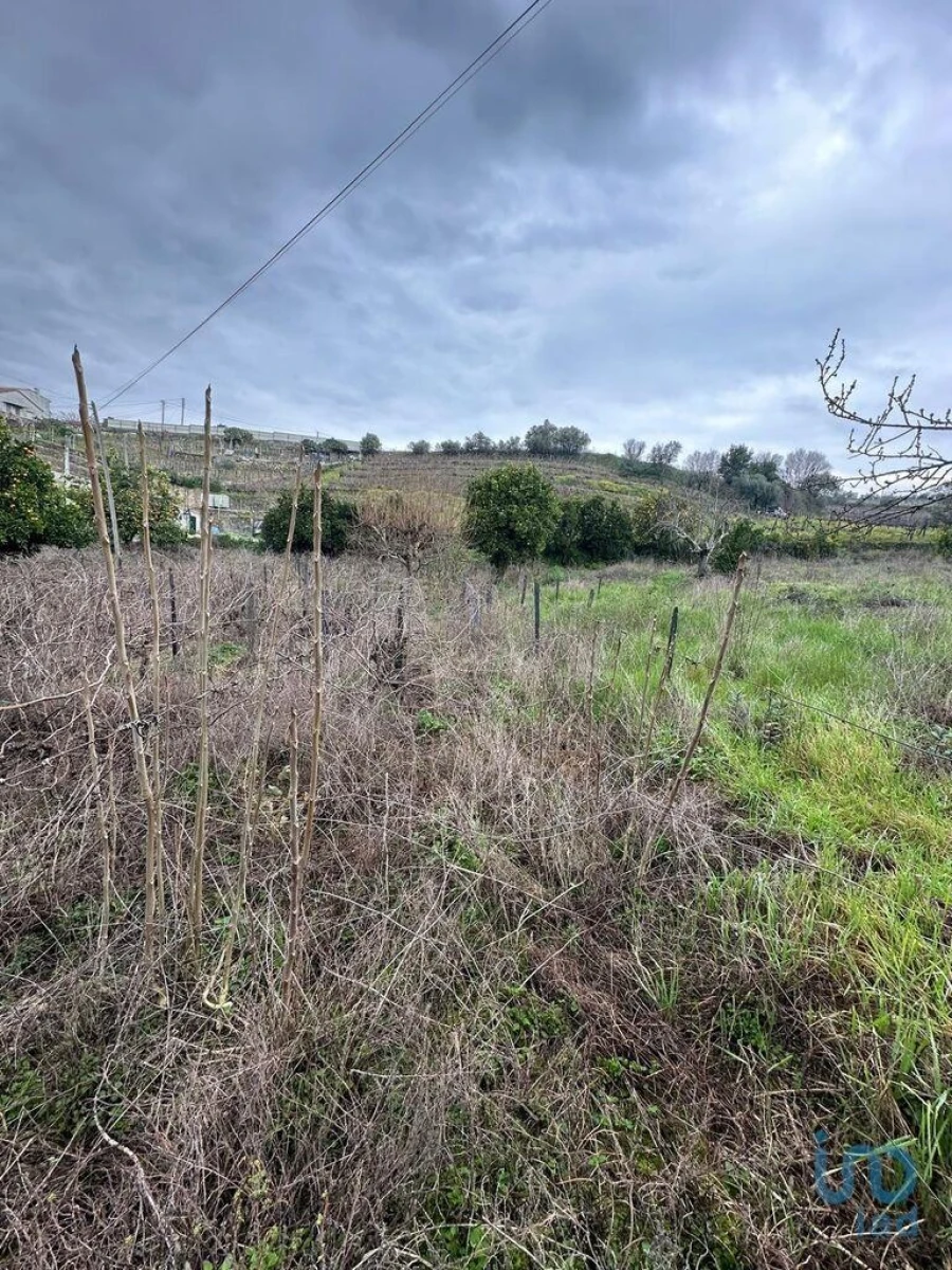 Terreno para Venda em Fontelas Foto 6