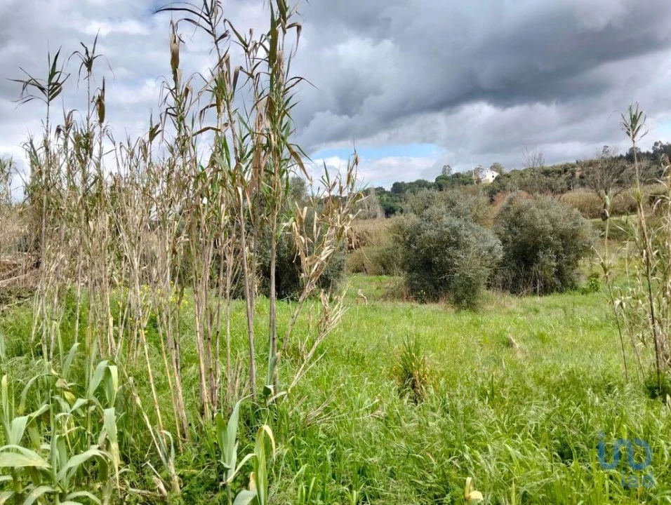Terreno para Venda em Outeiro da Cortiçada e Arruda dos Pisões Foto 14