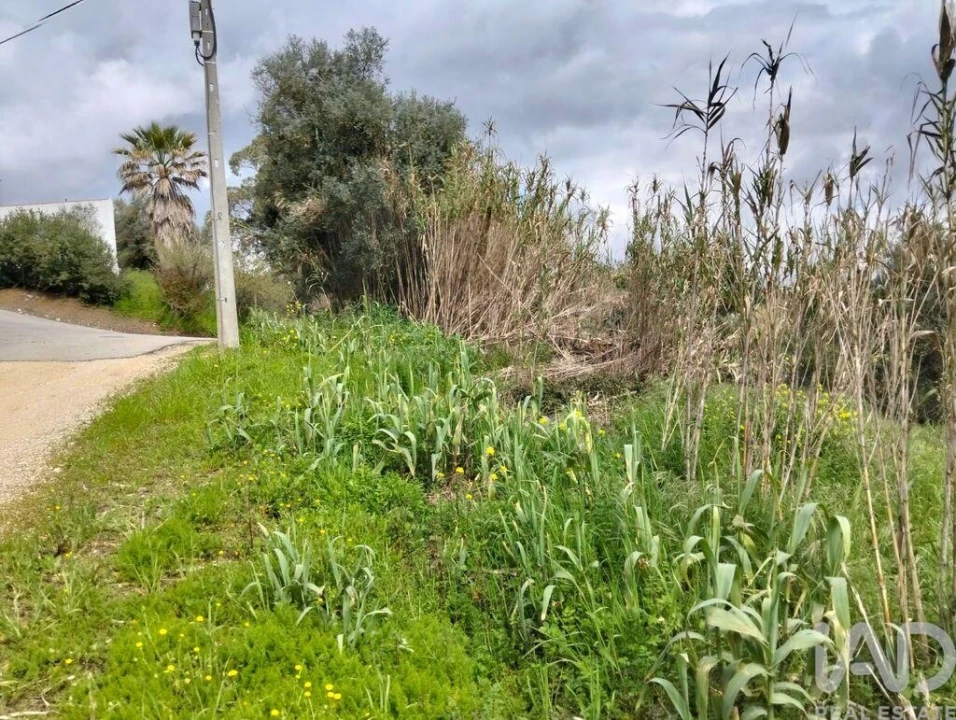 Terreno para Venda em Outeiro da Cortiçada e Arruda dos Pisões Foto 23