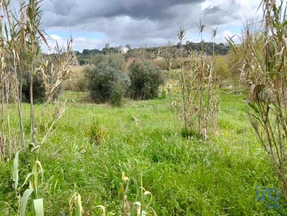 Terreno para Venda em Outeiro da Cortiçada e Arruda dos Pisões Foto 4
