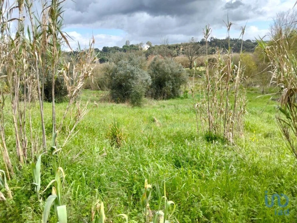 Terreno para Venda em Outeiro da Cortiçada e Arruda dos Pisões Foto 2