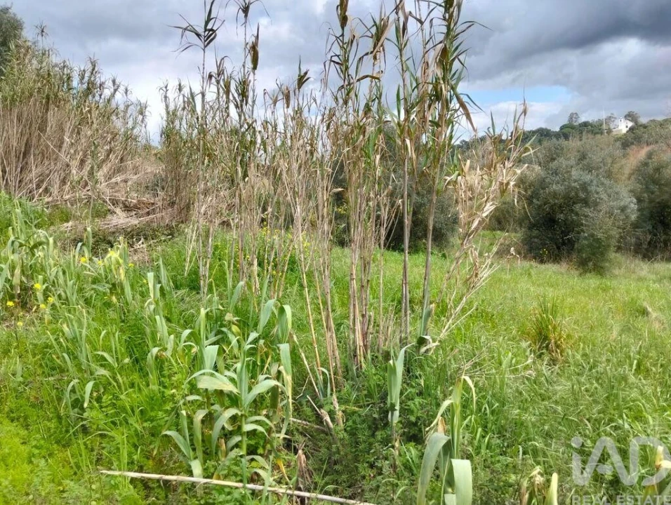 Terreno para Venda em Outeiro da Cortiçada e Arruda dos Pisões Foto 17