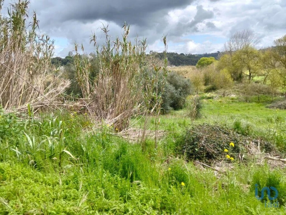 Terreno para Venda em Outeiro da Cortiçada e Arruda dos Pisões Foto 7