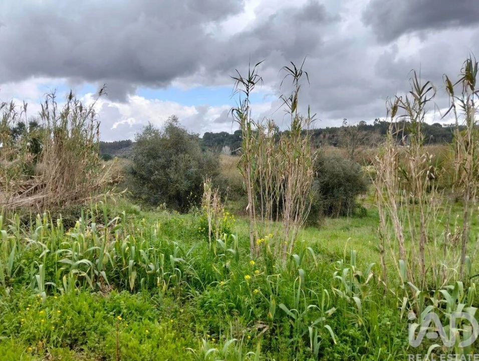 Terreno para Venda em Outeiro da Cortiçada e Arruda dos Pisões Foto 21